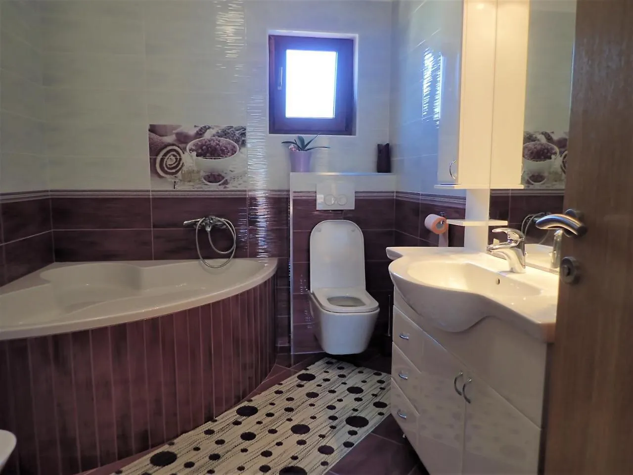 Apartman Dane Rovanjska