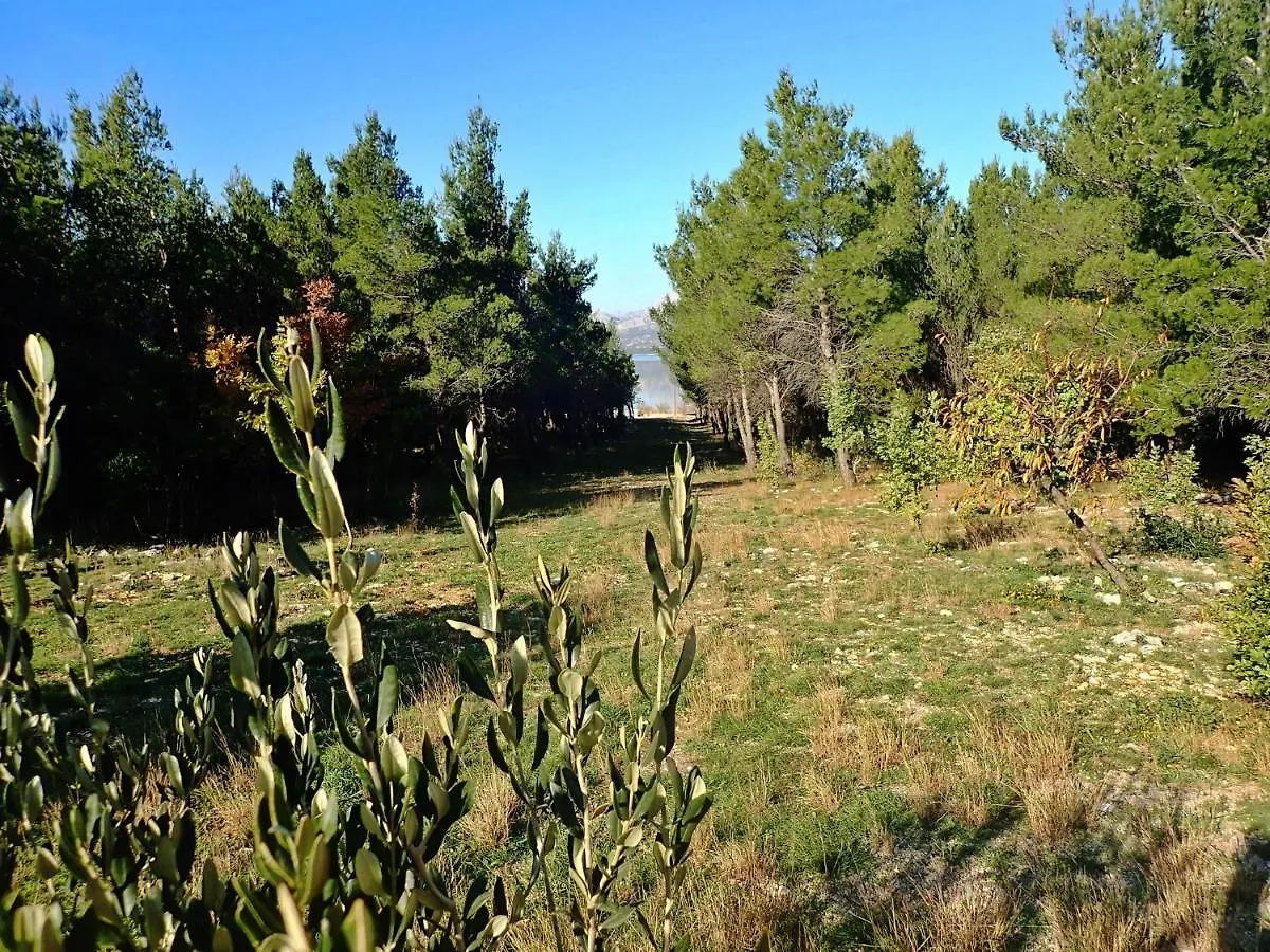 Apartman Dane Rovanjska Apartmán